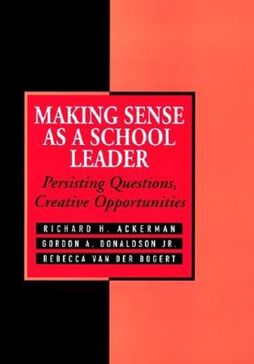 making sense as a school leader,persisting questions, creative opportunities