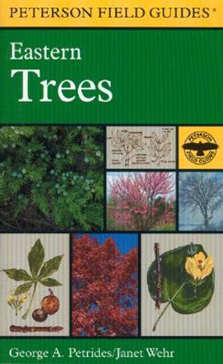 a field guide to eastern trees,eastern united states and canada, including the midwest (in English)