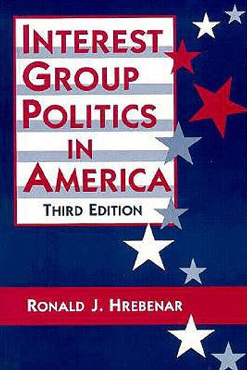 interest group politics in america