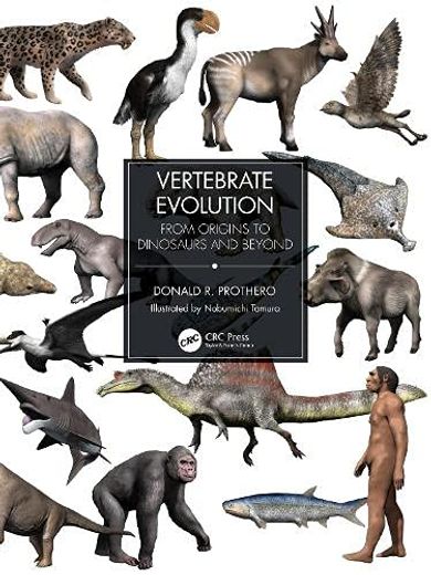 Vertebrate Evolution: From Origins to Dinosaurs and Beyond (en Inglés)