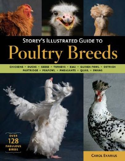 storey´s illustrated guide to poultry breeds (en Inglés)