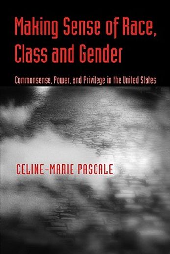 making sense of race, class, and gender,commonsense, power, and privelege in the united states
