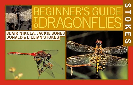 stokes beginner´s guides to dragonflies (en Inglés)