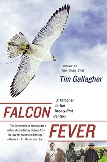 falcon fever,a falconer in the twenty-first century