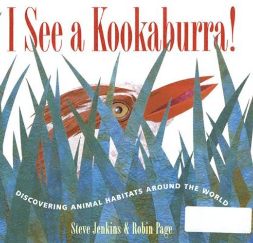 i see a kookaburra!,discovering animal habitats around the world (in English)