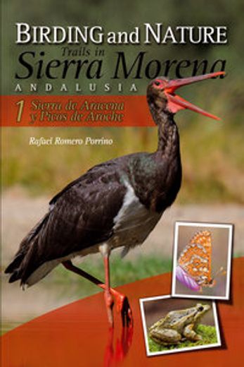 birding and nature sierra morena 1 sierra aracena