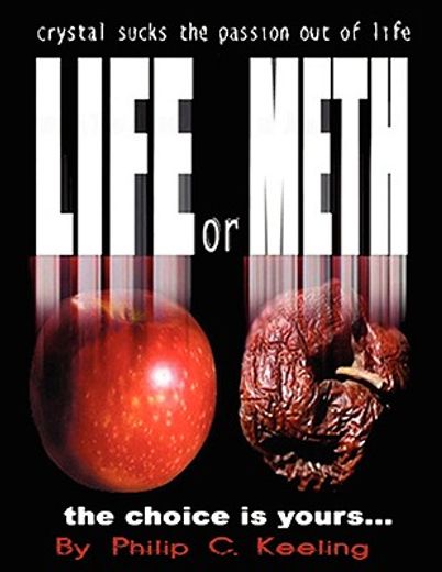 life or meth,a book for meth users and their victims