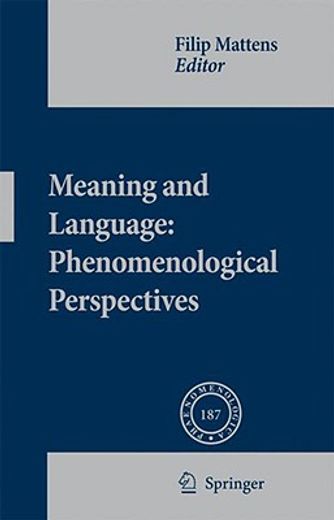meaning and language,phenomenological perspectives