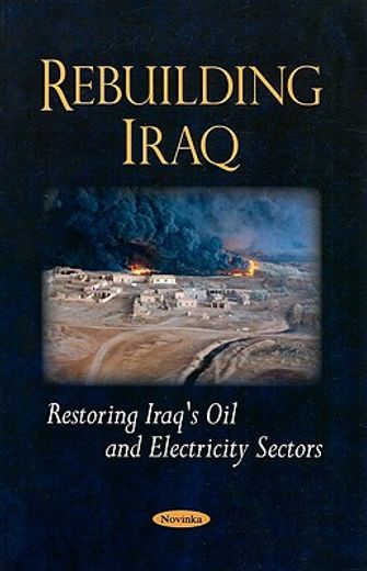 rebuilding iraq,restoring iraq´s oil and electricity sectors