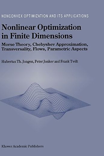 nonlinear optimization in finite dimensions,morse theory, chebyshev approximation, trasversality, flows, parametric aspects