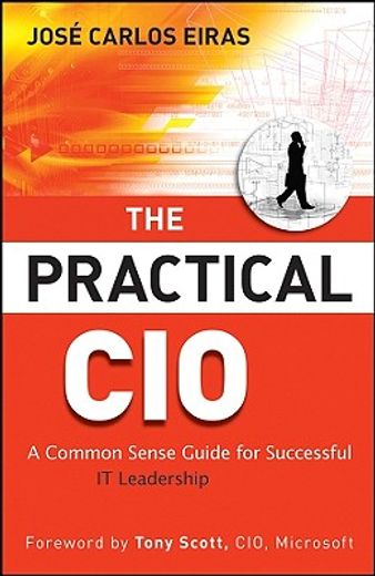 the practical cio,a common sense guide for successful it leadership