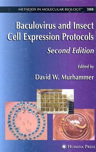 baculovirus and insect cell expression protocols