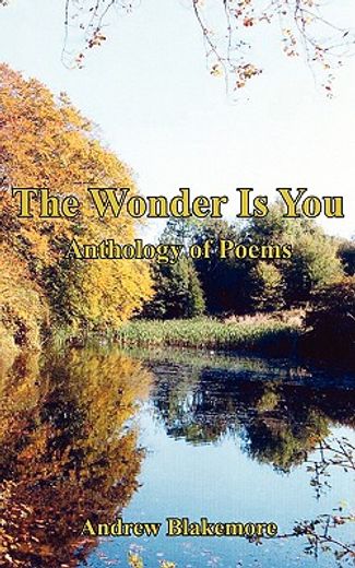 wonder is you
