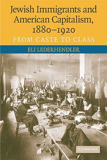 jewish immigrants and american capitalism, 1880-1920,from caste to class (en Inglés)