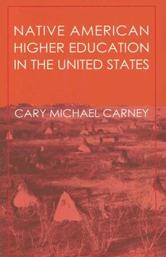 native american higher education in the united states