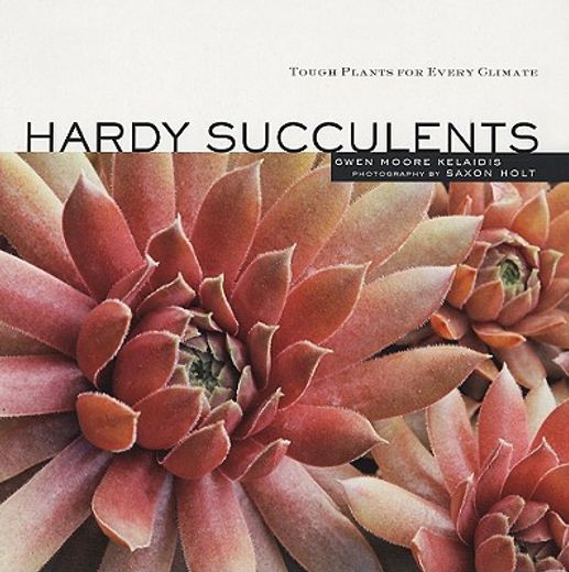hardy succulents,tough plants for every climate