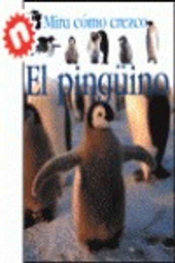 el pingüino : mira cómo crezco