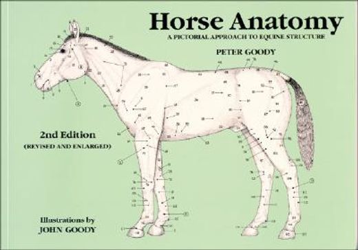 horse anatomy,a pictorial approach to equine structure