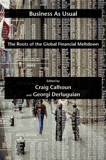 business as usual,the roots of the global financial meltdown