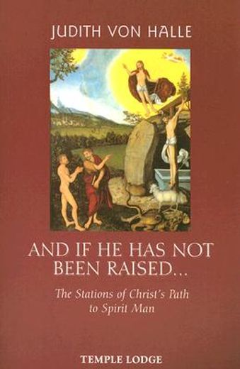 And If He Had Not Been Raised...: The Stations of Christ's Path to Spirit Man (in English)
