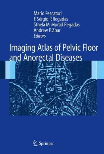 Imaging Atlas of the Pelvic Floor and Anorectal Diseases (en Inglés)