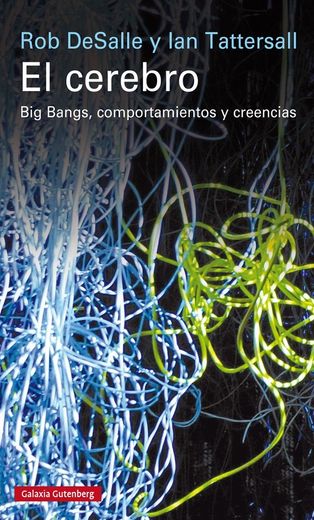 El Cerebro: Big Bangs, Comportamientos y Creencias (in Spanish)