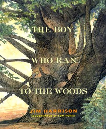 the boy who ran to the woods (in English)