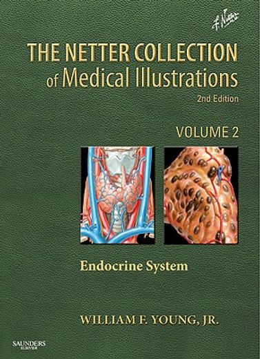 The Netter Collection of Medical Illustrations: The Endocrine System: Volume 2 (in English)