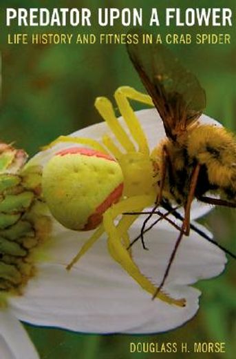 predator upon a flower,life history and fitness in a crab spider