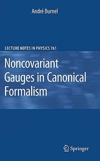 noncovariant gauges in canonical formalism