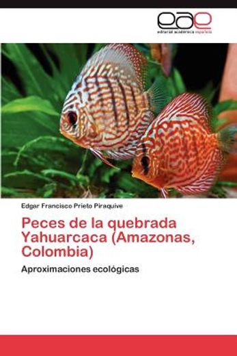 peces de la quebrada yahuarcaca (amazonas, colombia)