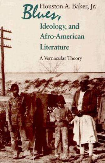 Blues, Ideology, and Afro-American Literature: A Vernacular Theory 