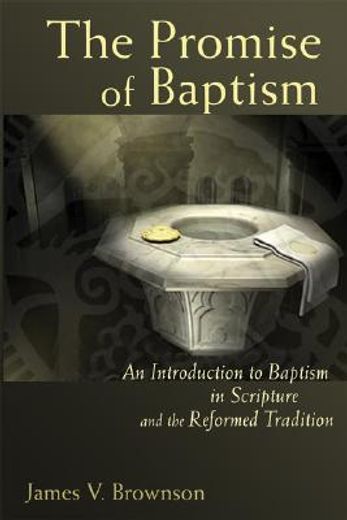 the promise of baptism,an introduction to baptism in scripture and the reformed tradition