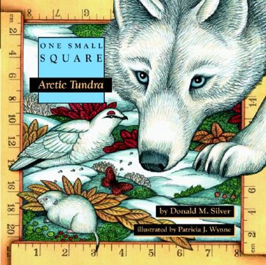 arctic tundra (en Inglés)