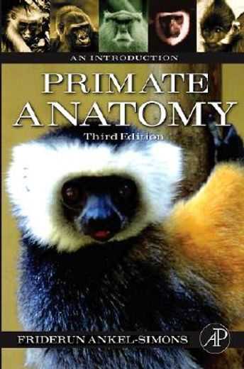 primate anatomy,an introduction