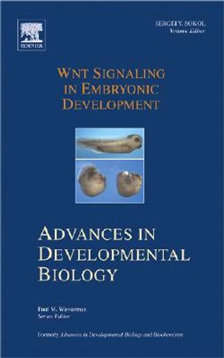 wnt signaling in embryonic development