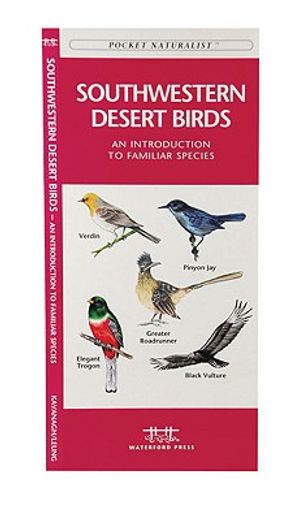 southwestern desert birds: an introduction to familiar species