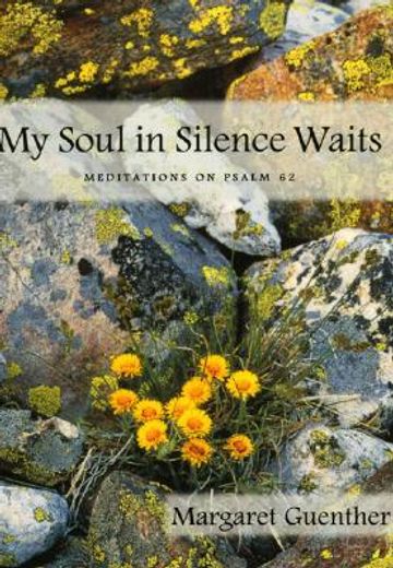 my soul in silence waits,meditations on psalm 62