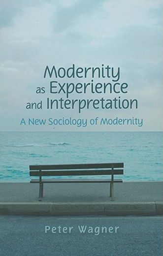 modernity as experience and interpretation,a new sociology of modernity