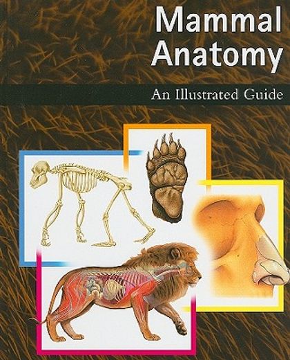 mammal anatomy,an illustrated guide