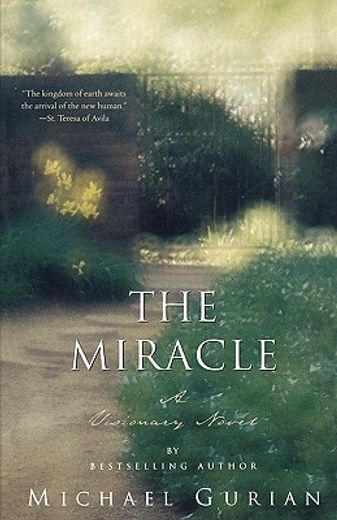the miracle,a visionary novel