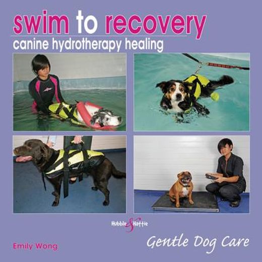 Swim to Recovery: Canine Hydrotherapy Healing