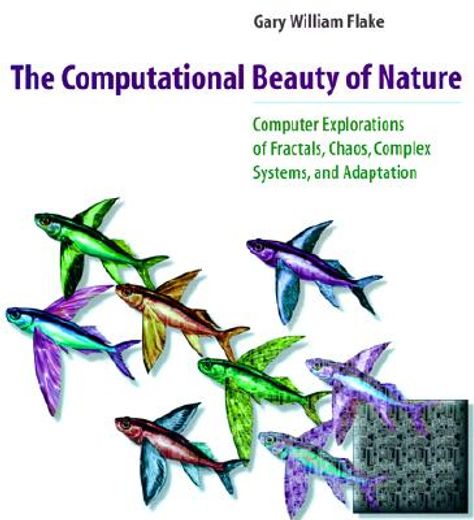the computational beauty of nature,computer explorations of fractals, chaos, complex systems and adaption