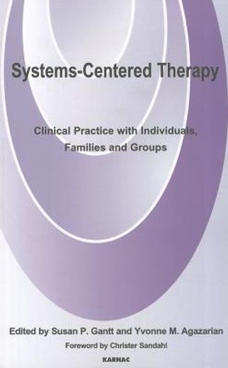 systems-centred therapy,clinical practice with individuals, families and groups