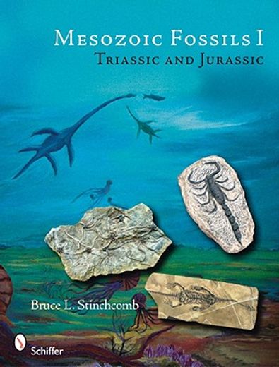 mesozoic fossils i,triassic & jurassic periods