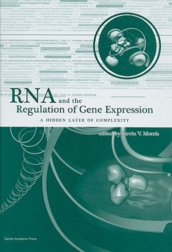 rna and the regulation of gene expression,a hidden layer of complexity