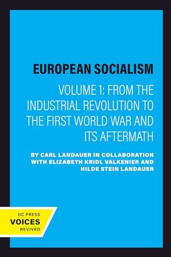 European Socialism, Volume i: From the Industrial Revolution to the First World war and its Aftermath (en Inglés)