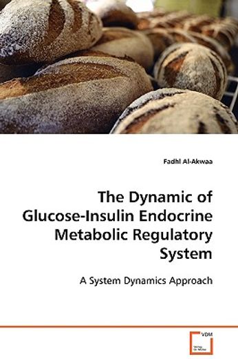 the dynamic of glucose-insulin endocrine metabolic regulatory system