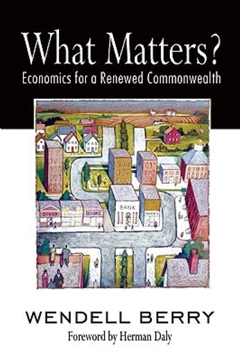 what matters?,economics for a renewed commonwealth