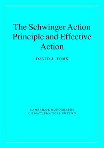 The Schwinger Action Principle and Effective Action Hardback (Cambridge Monographs on Mathematical Physics) (en Inglés)